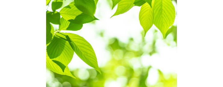 AdobeStock_265778340